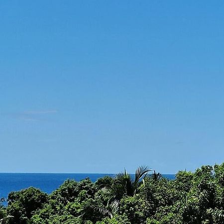 Joli T2 En Bas De Villa Vue Jardin Et Mer Vieux-Habitants Dış mekan fotoğraf